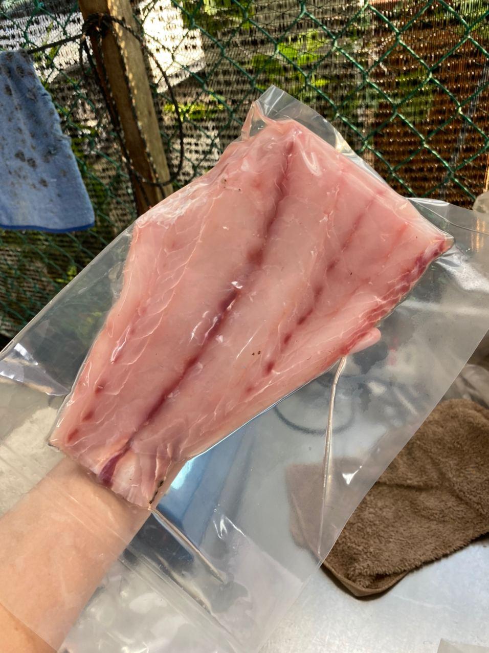 Golden Snapper Fillet 红枣 (250-300G)
