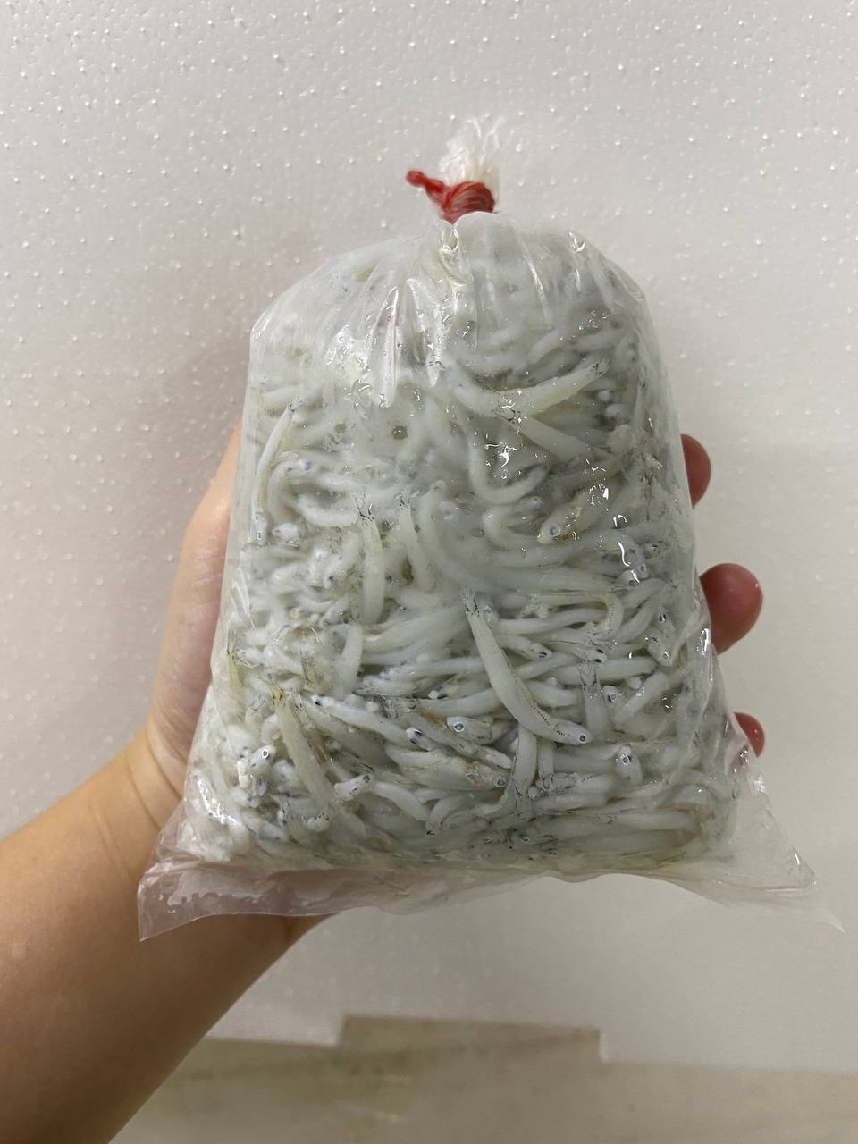 Cooked Silverfish 银鱼 (300G)