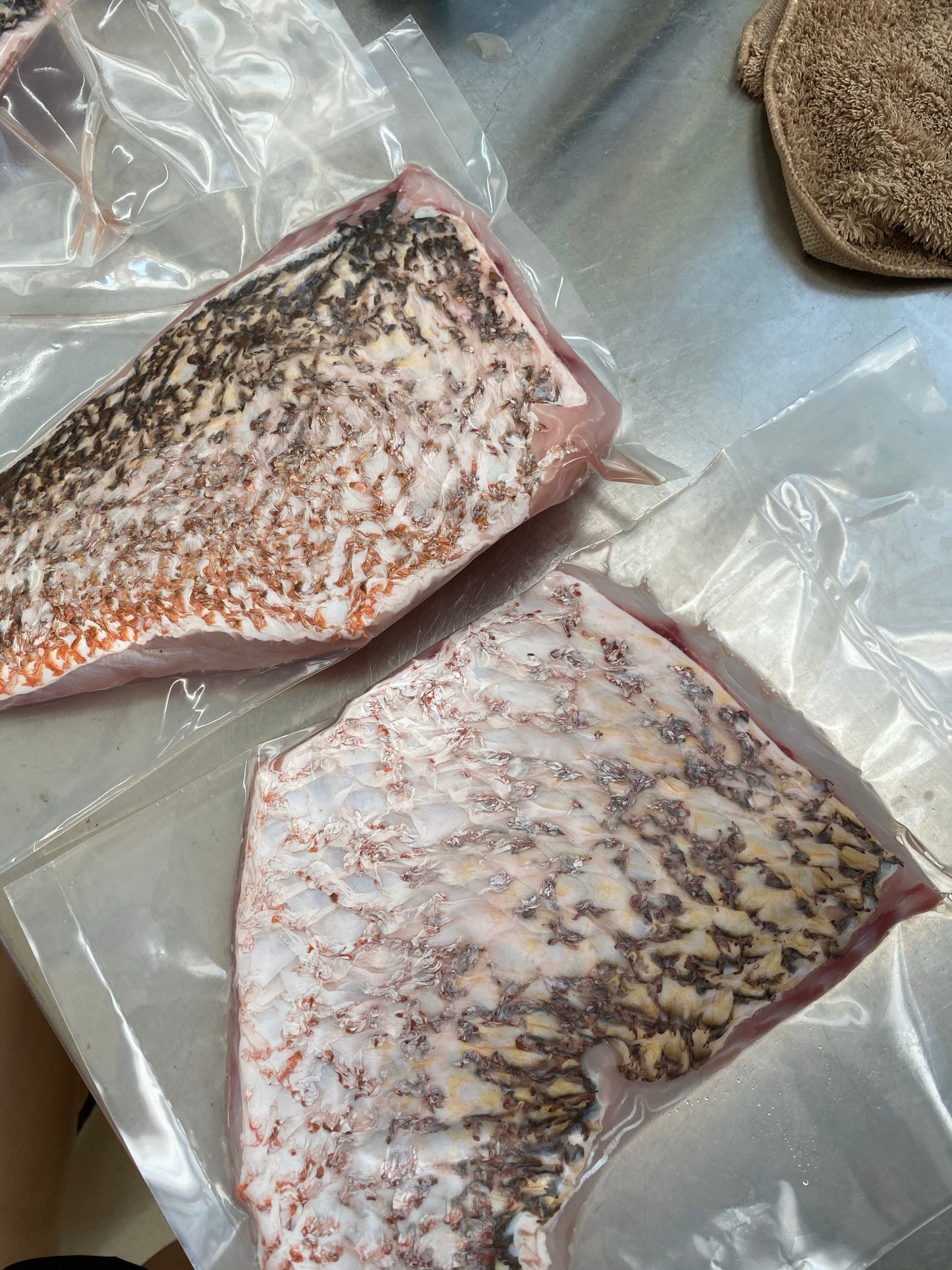 Golden Snapper Fillet 红枣 (250-300G)