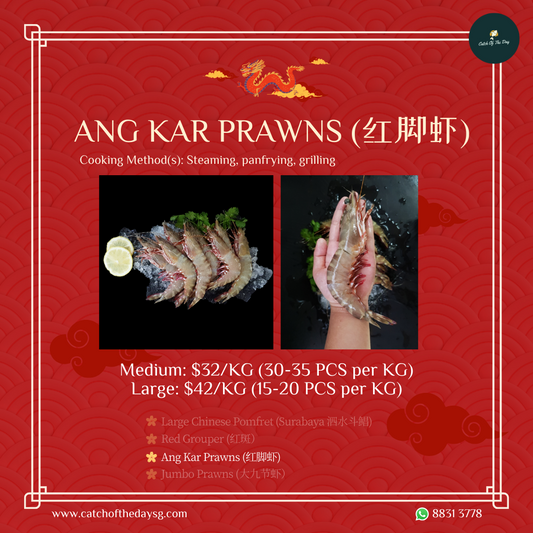 Ang Kar Prawns 鲜红脚虾 (500G)