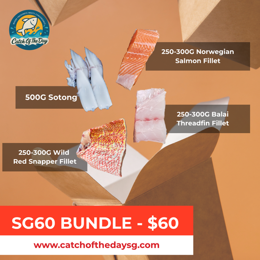 SG60 Bundle