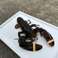 Live Boston Lobster (400-500G)