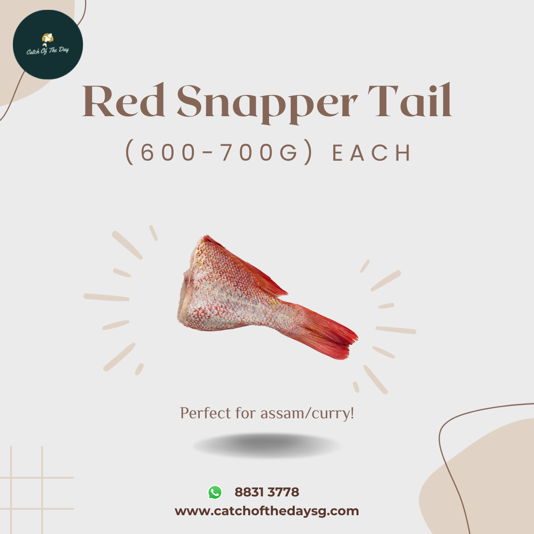 Red Snapper Tail 红鸡尾 (600-700G)