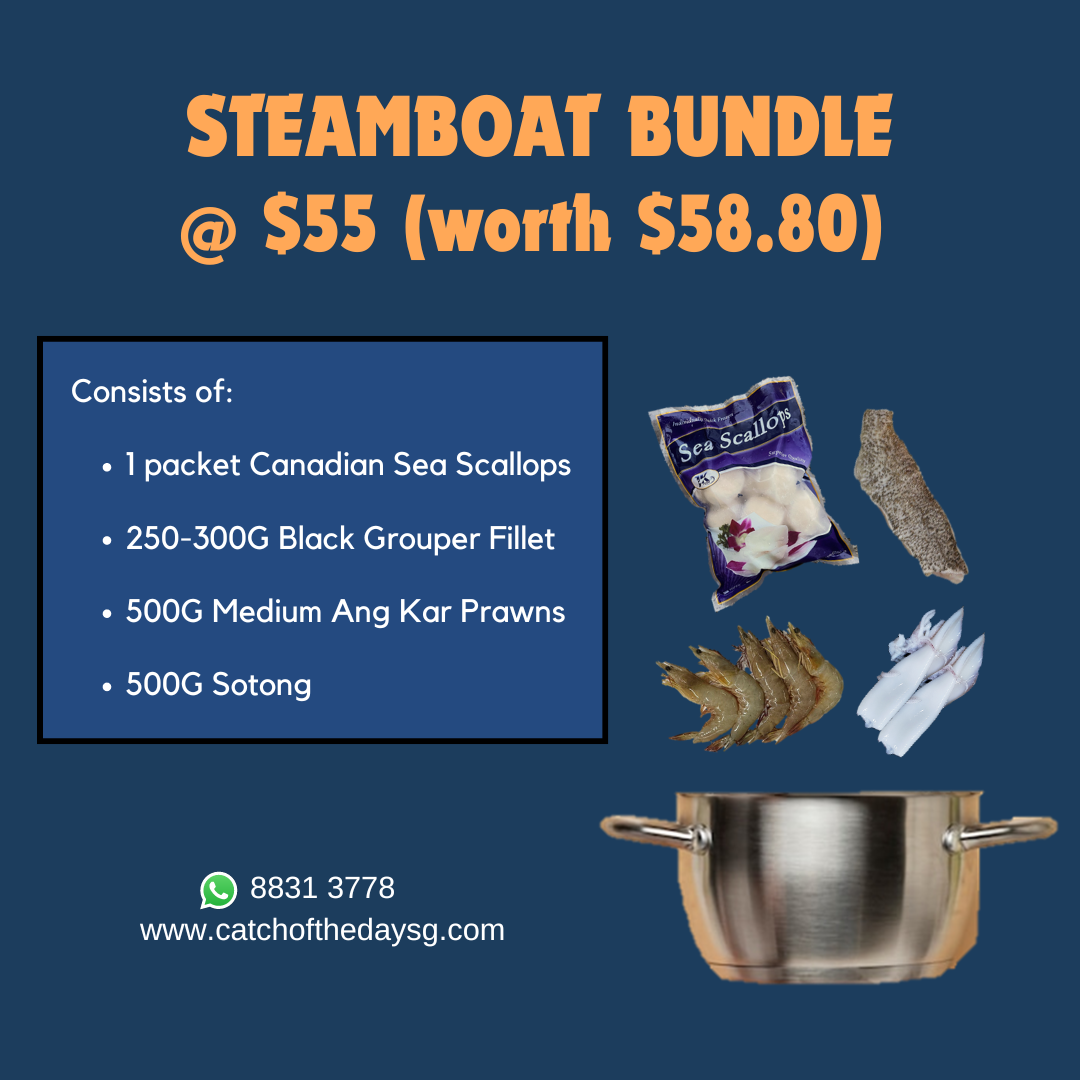 Steamboat Bundle