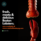 Live Boston Lobster (400-500G)