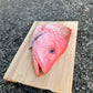 Red Snapper Fish Head (~1.2-1.3KG)