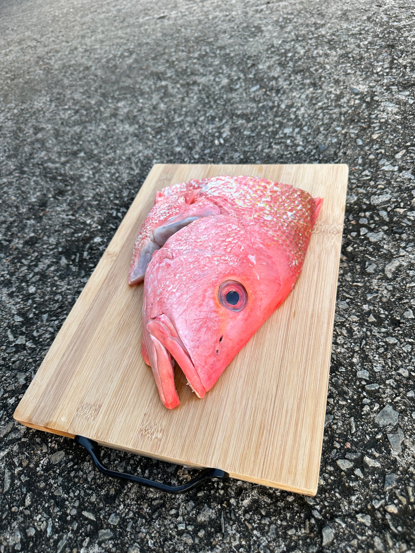 Red Snapper Fish Head (~1.2-1.3KG)