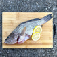 Flower Grouper 花斑 Whole (500-600G)