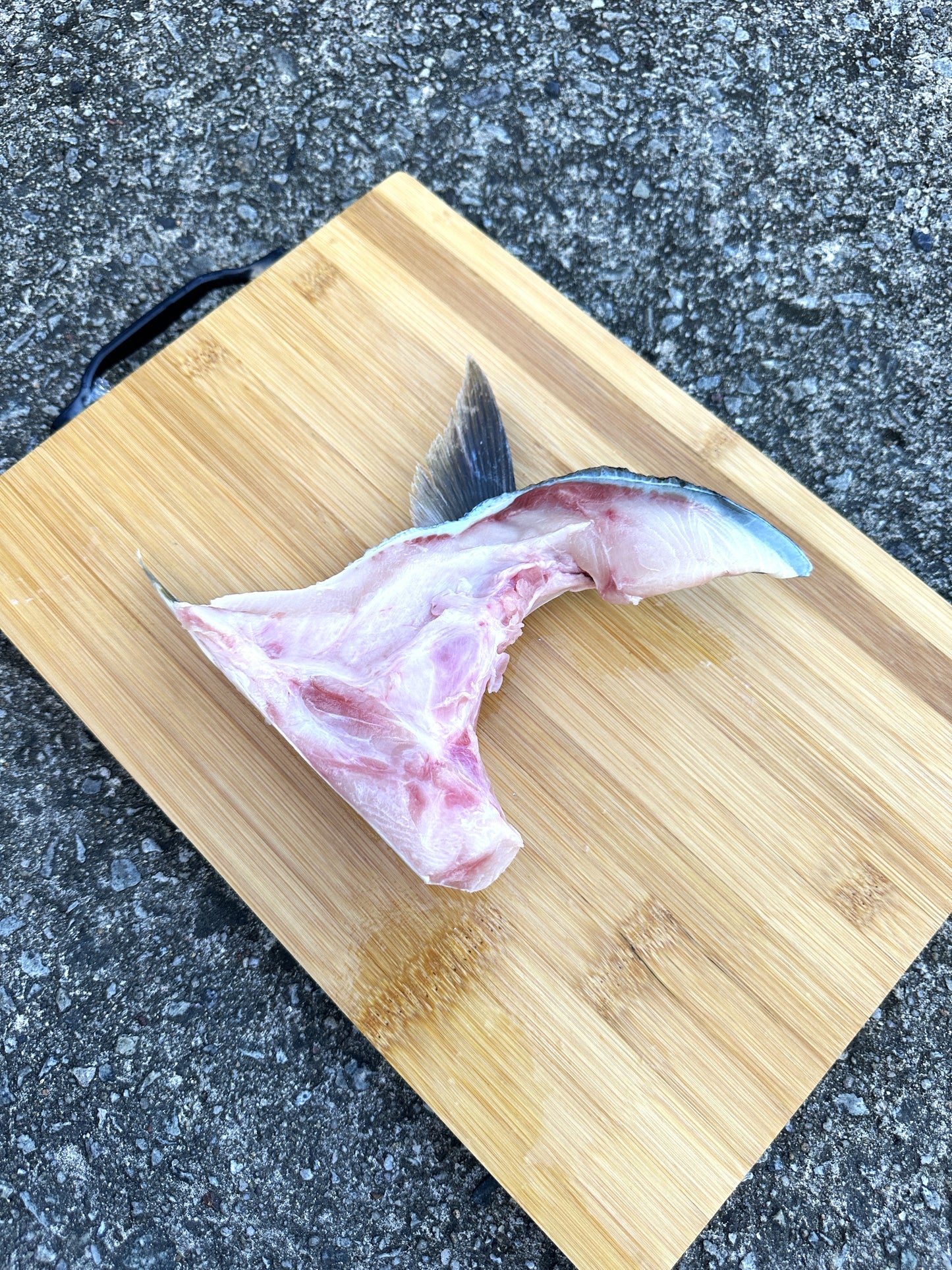 Hamachi Collar (180-230G)