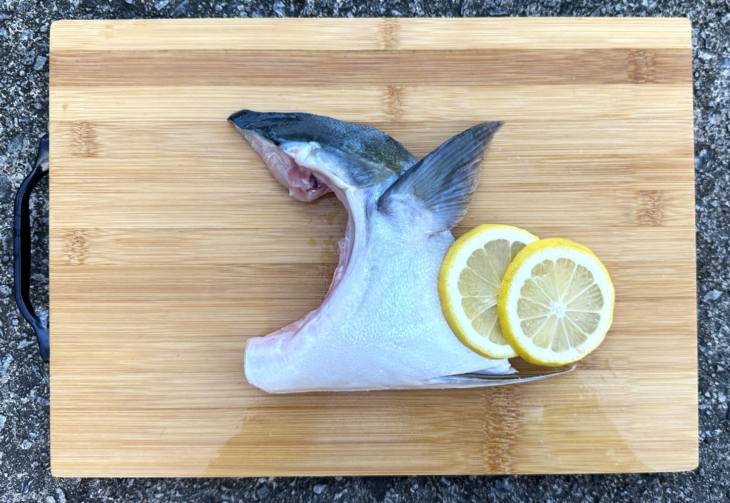 Hamachi Collar (180-230G)