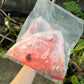 Red Snapper Fish Head (~1.2-1.3KG)