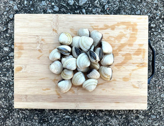 Live White Clams (1KG)