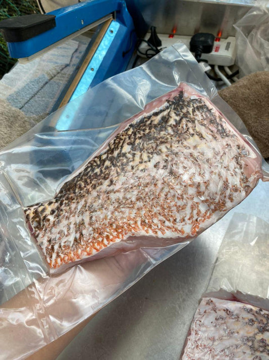 Golden Snapper Fillet 红枣 (250-300G)