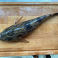 Live Marble Goby (Soon Hock) (500G-900G)