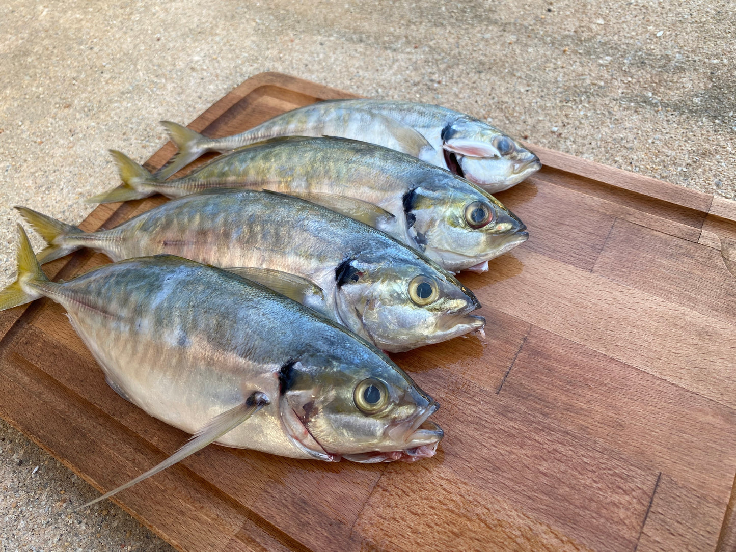 Selar Fish (1KG) 色拉