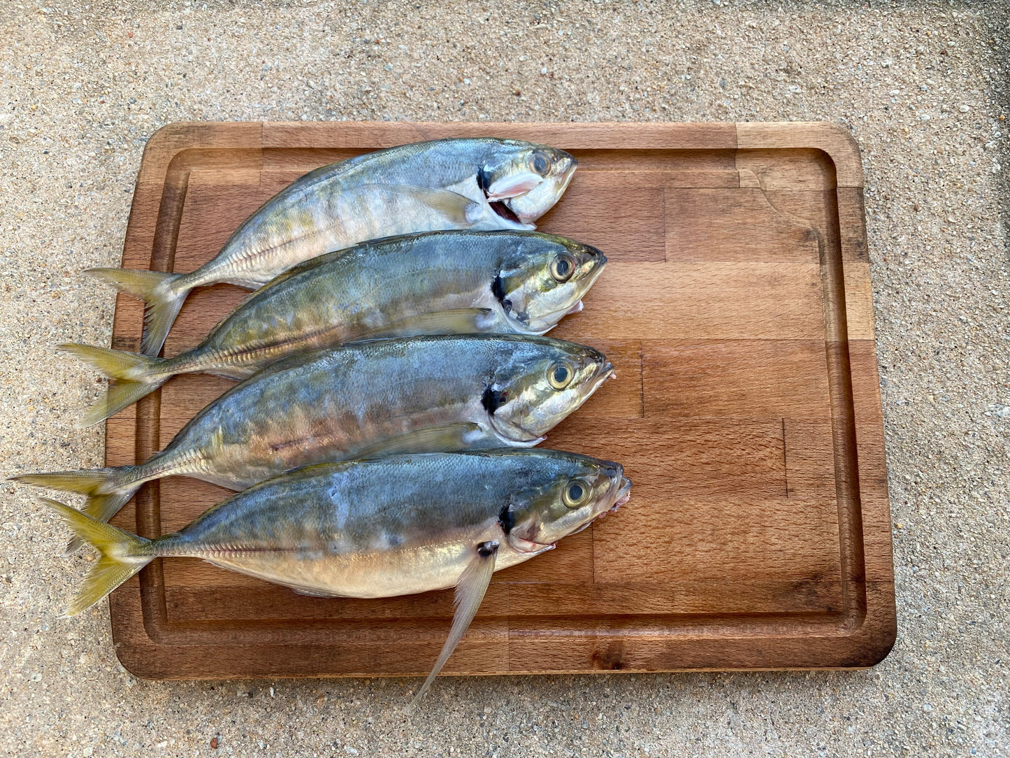 Selar Fish (1KG) 色拉