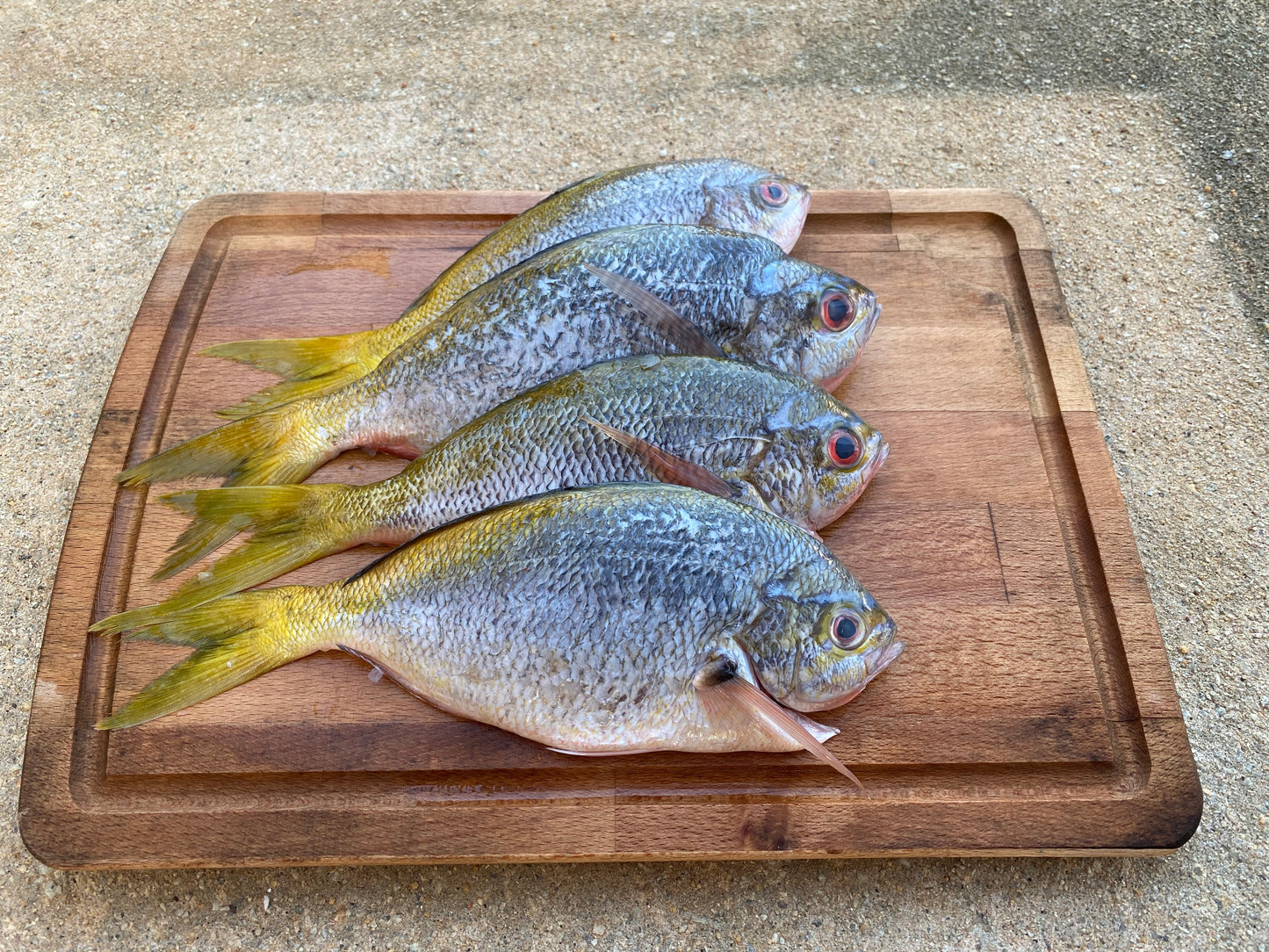 Yellowtail Fish/Potato Fish (1KG) 黄尾鱼/番薯鱼