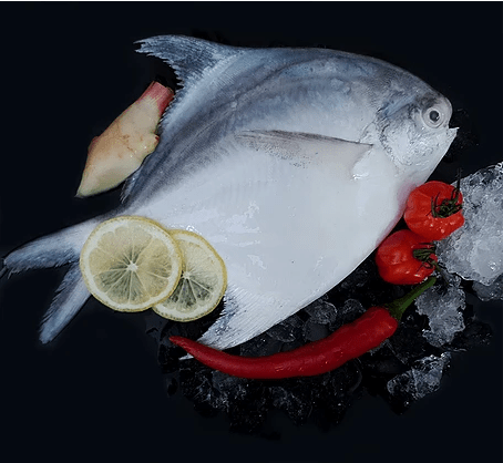 White Pomfret 白鲳 Whole (200-300G) - Catch Of The Day Singapore