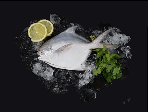 White Pomfret 白鲳 Whole (200-300G) - Catch Of The Day Singapore