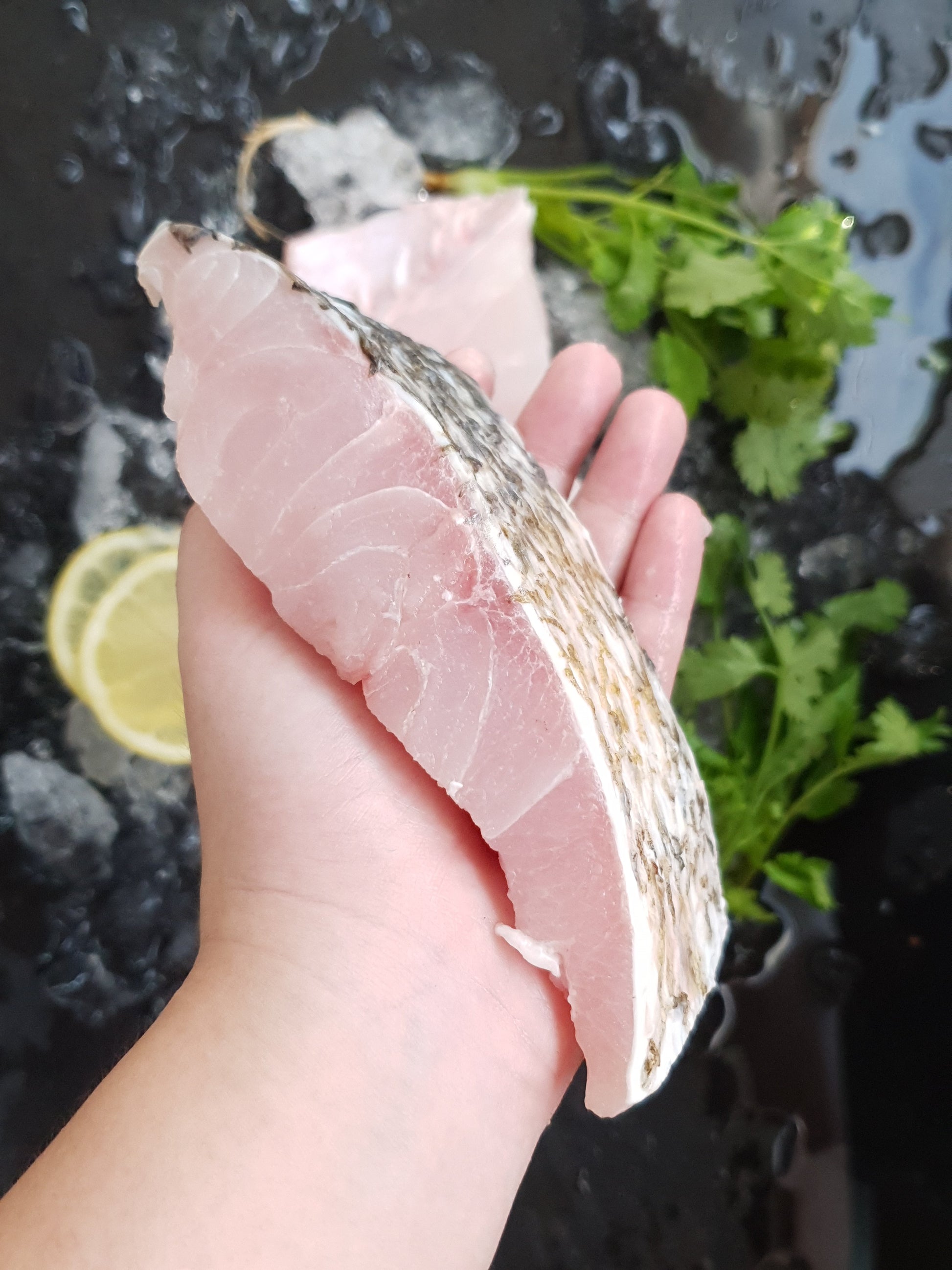 Balai Threadfin 午鱼 Fillet (250-300G) - Catch Of The Day Singapore