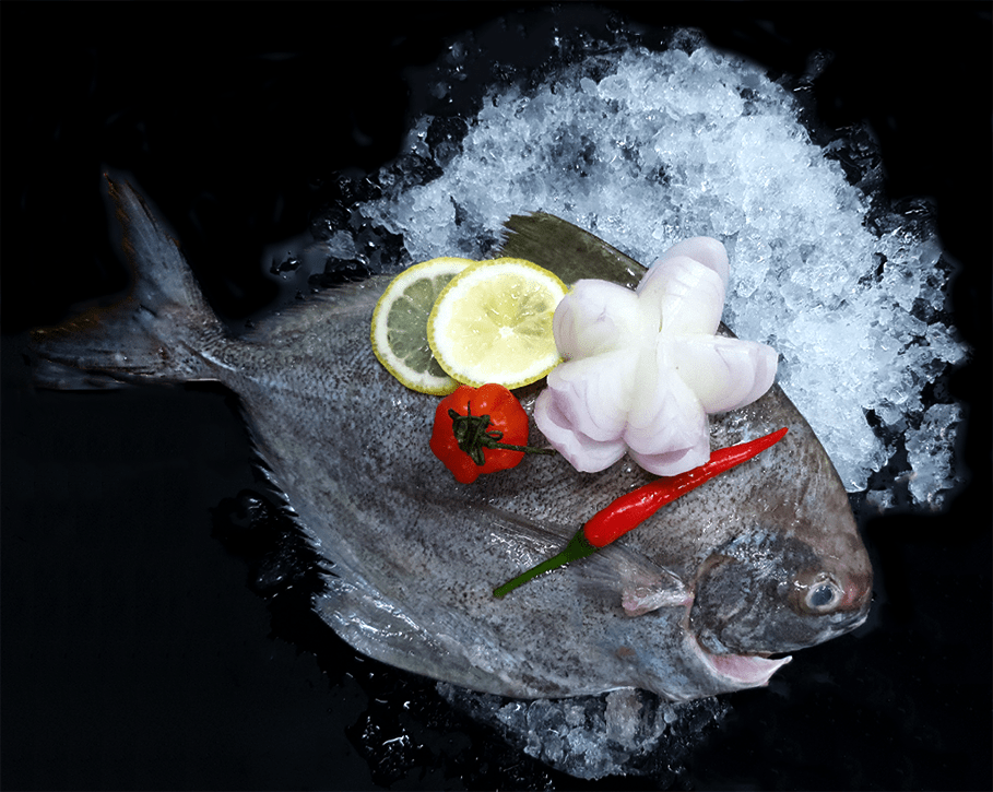 Black Pomfret 黑鲳 (400-500G) - Catch Of The Day Singapore