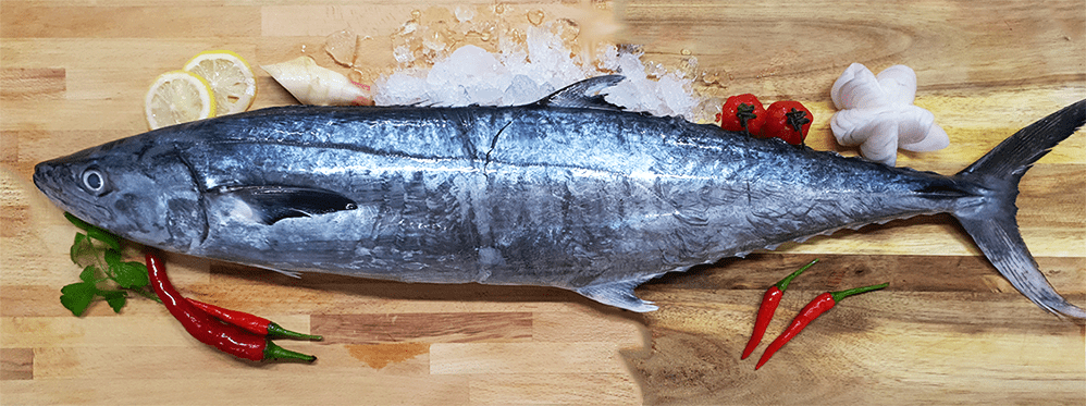 Batang (Mackerel) 巴当鱼 (Whole) (1.5-2KG) - Catch Of The Day Singapore