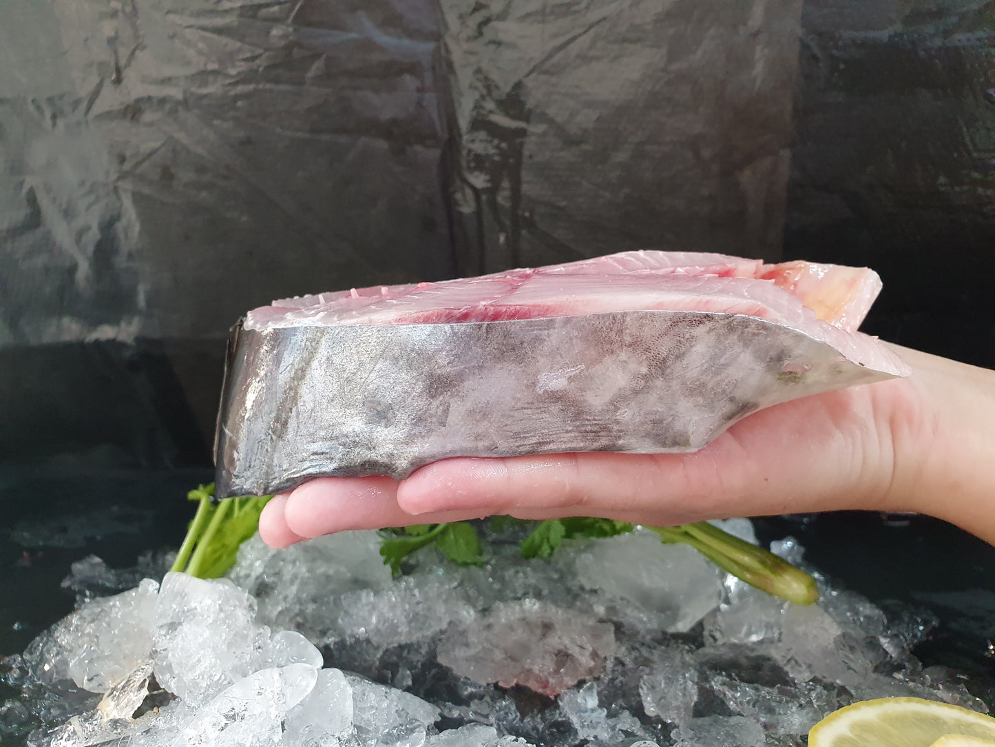 Batang (Mackerel) 巴当鱼 Steak (250-300G) - Catch Of The Day Singapore