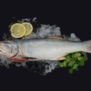 Baby Threadfin 白午-午鱼顺 Whole (400-500G)