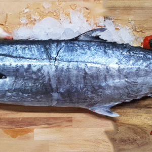 Batang (Mackerel) 巴当鱼 (Whole) (1.7-2KG)