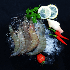 Farmed Grey Prawns 灰虾 (500G)
