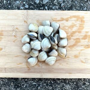 Live White Clams (1KG)