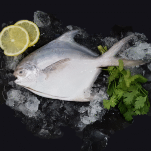 White Pomfret 白鲳 Whole (200-300G)
