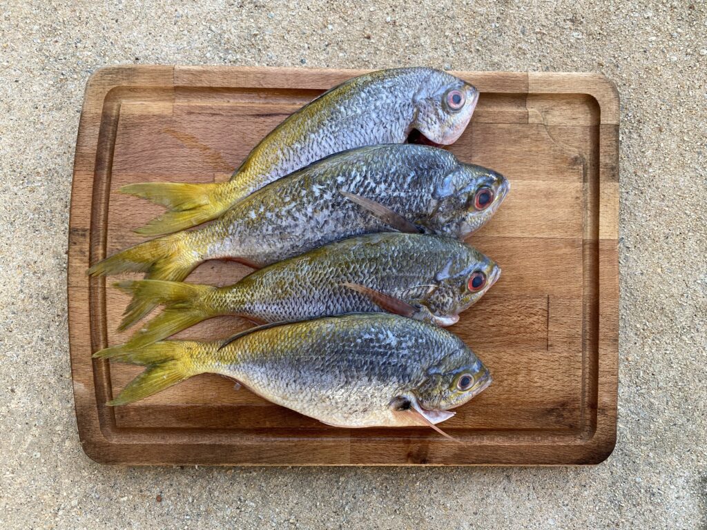 Yellowtail Fish/Potato Fish (1KG) 黄尾鱼/番薯鱼