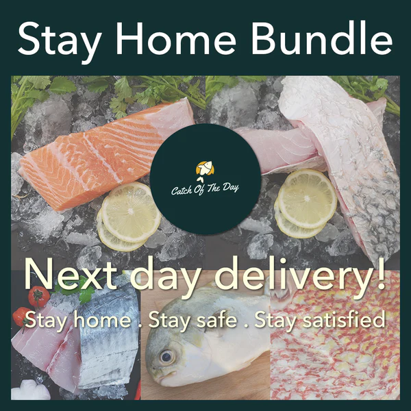 Stay-Home Bundle