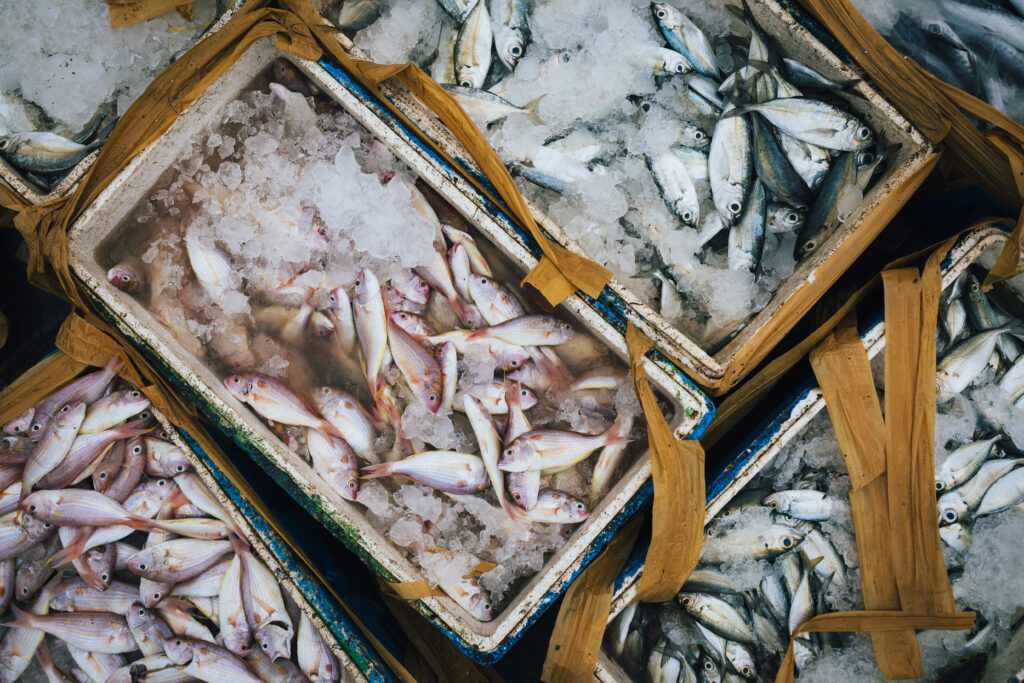 Fresh seafood packed on ice at a market, ready for fish delivery