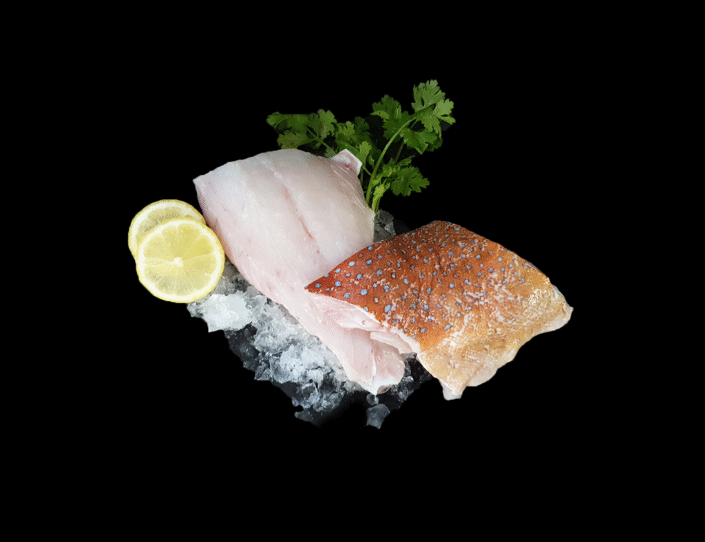 Freshly cut red groupers fillet displayed on ice with lemon and herbs
