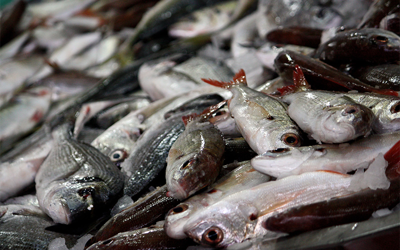 Fresh local fish displayed on ice at Singapore market.