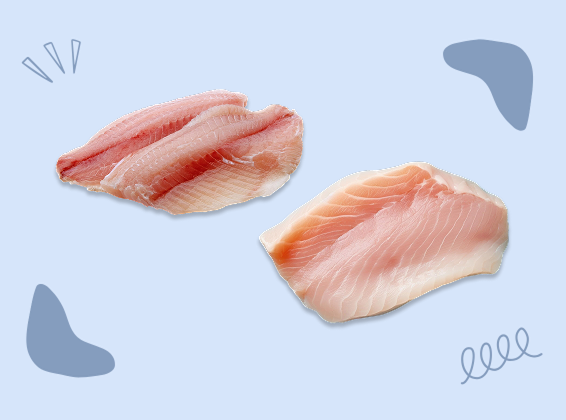 Fish Steak