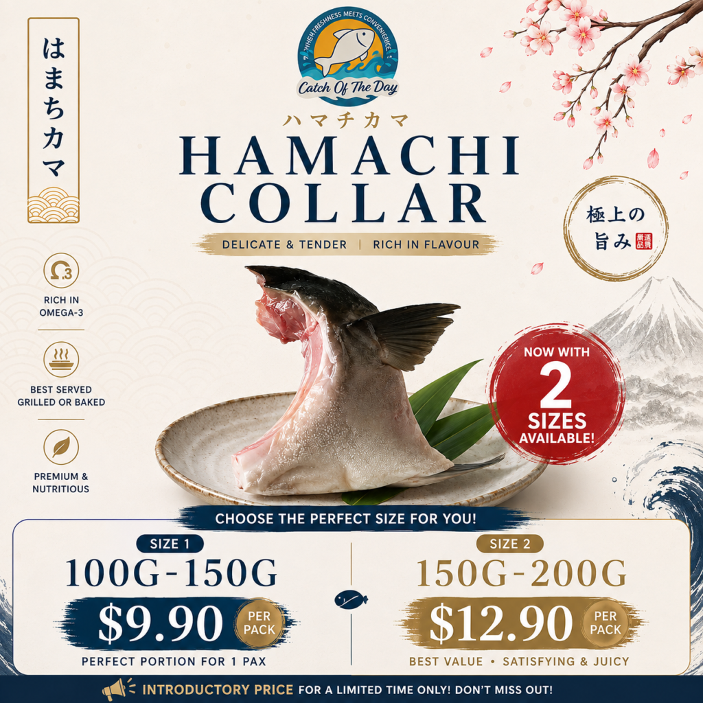 Frozen Hamachi Collar Singapore