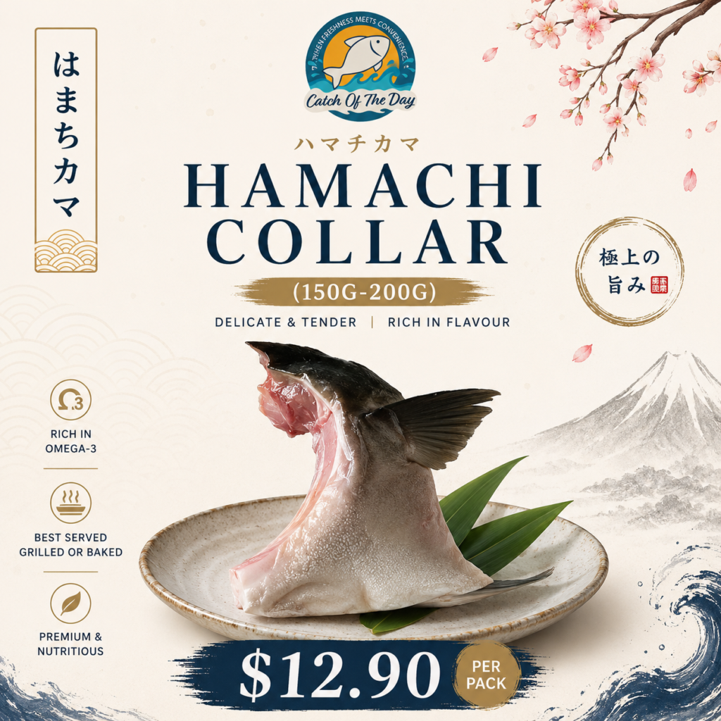 Premium Japanese Hamachi Collar